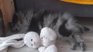 наконец моё первое видео с Ричердом