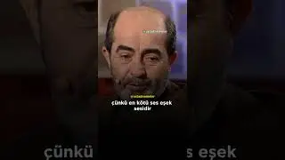Kur'an ı Kerimde Hz.Lokman'ın oğluna nasihatleri #ömerdemirbağ