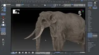 Transferring Textures to Multiple UV Tiles (UDIMs) in ZBrush Using Polypaint and Polygroups