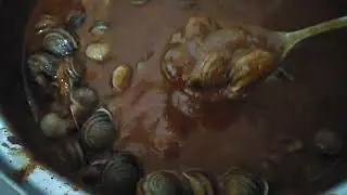 МОИ УЛИТКИ