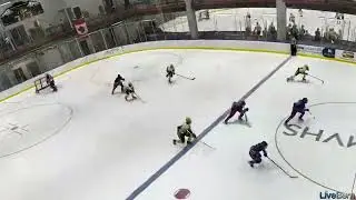vs Pittsburgh Penguins (Goal)