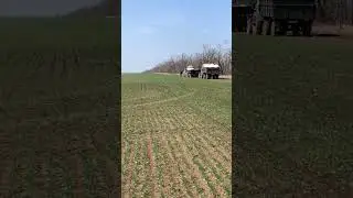 Кормление озимых 27.03.24 #farming #сельскоехозяйство