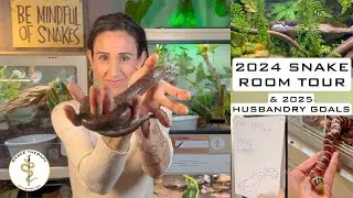 Reptile Room Tour 2024: Year-End Reflections & Goals For 2025!