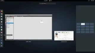 Suricata