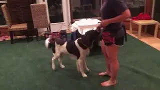 Princeton's TKP video