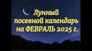 Лунный посевной календарь на ФЕВРАЛЬ 2025 г.