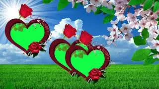 Wedding green screen effects | Green screen effects | Green screen effects background love | Vfx