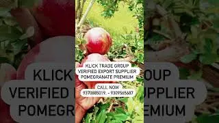 Export Pomegranate Verified Supplier Premium Quality Pomegranate