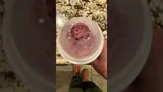 Does the slushy cup live up to the hype?