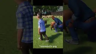 Planet Zoo: Barnyard Animal Pack - All Animals 