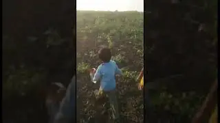 My Son's Hard Work Video