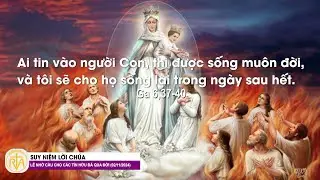 Suy Niệm Lời Chúa, Lễ Nhớ cầu cho các tín hữu đã qua đời (02/11/2024)