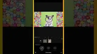 How To Change Video Background  With VITA App | Green Screen /Chroma Key | 