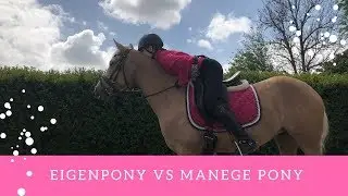 Manege pony vs eigen pony (opzadel routine)