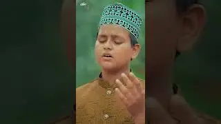 Manqabat Status Ganj Bakhsh Faiz e Alam - Syed Saqib Naqshbandi
