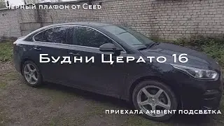 БЦ 16. Черный плафон от Ceed, приехала ambient подсветка.