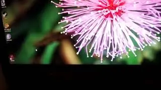 Shy taskbar 2