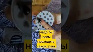 что такое предчиска для головы