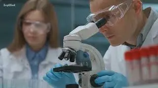 What Is Pathology: Pathology Meaning Explained