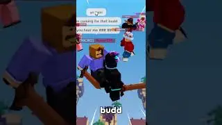 What Did MINIBLOXIA Say About Me?