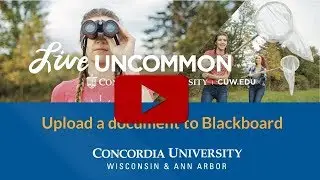 Submit Assignment Blackboard CUWAA