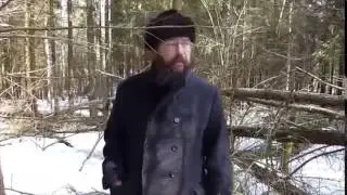 сами не чистят лес и другим не дают