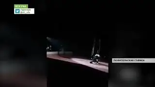 Нападение приставов на цирк