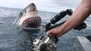 VÍDEOS DE PESCA QUE DÃO MEDO PART.2