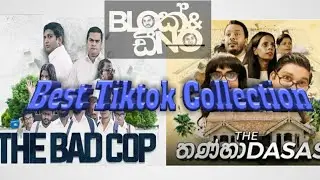 Block and Dino Best tiktok collection