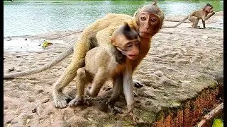 No...sister Bree don't catch me!! Cute baby Lola so lonely Leyla mom less-care