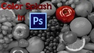 Simple Color Splash Photoshop Tutorial