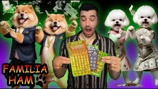 FAMILIA HAM - CÂȘTIG LA LOTTO (S2/EP1)