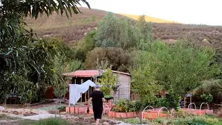 #2. A family living in the countryside - Planting in the autumn garden. We saw deer nearby.