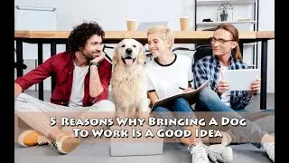 5 Reasons Why Bringing A Dog To Work Is A Good Idea