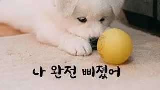 Korean boyfriend ASMR that immediately solves girlfriend affection