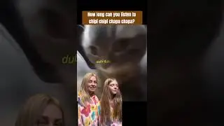 Chipi Chipi Chapa Chapa 