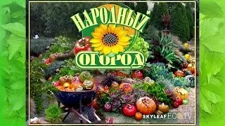 Академия вкуса