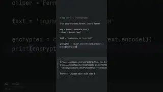 шифрование python