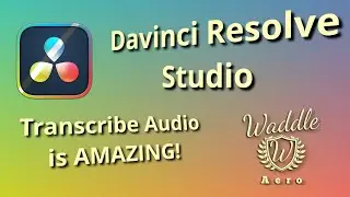 Davinci Resolve Studio: Speed Up Your Workflow with Auto Transcription