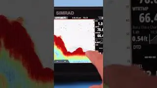 FISHFINDER | |DownScan looking at the bottom