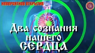 Сердце управляет нашими поступками
