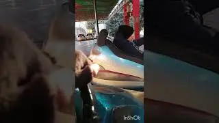 Батя жжот