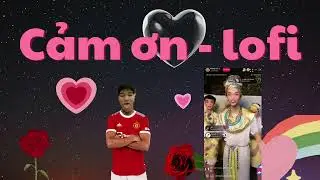 Cảm ơn Lofi chill ấm, nhẹ nhàng, dễ ngủ | Beats to Study and Sleep