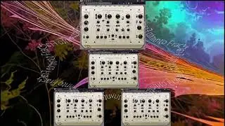 A Short Journey Into Fractals With Cherry Audio SEM