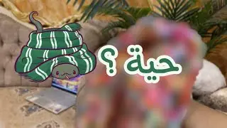 يوم في حياتي علمتكم شلون تسون حية لطيفة🐍💕 | vlog21