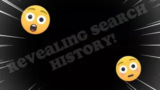 Revealing Search History