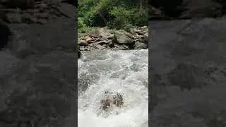 Nature#devbhumi #mountains 🌍#waterfall #waterfalls #video#viralvideo