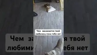 Съемки с камеры.смотрите следующее видео 