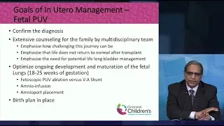 In Utero Posterior Urethral Valves (PUV) Management | Cincinnati Children's