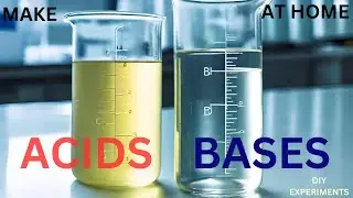 Make HCl and NaOH at home with Table Salt (NaCl)